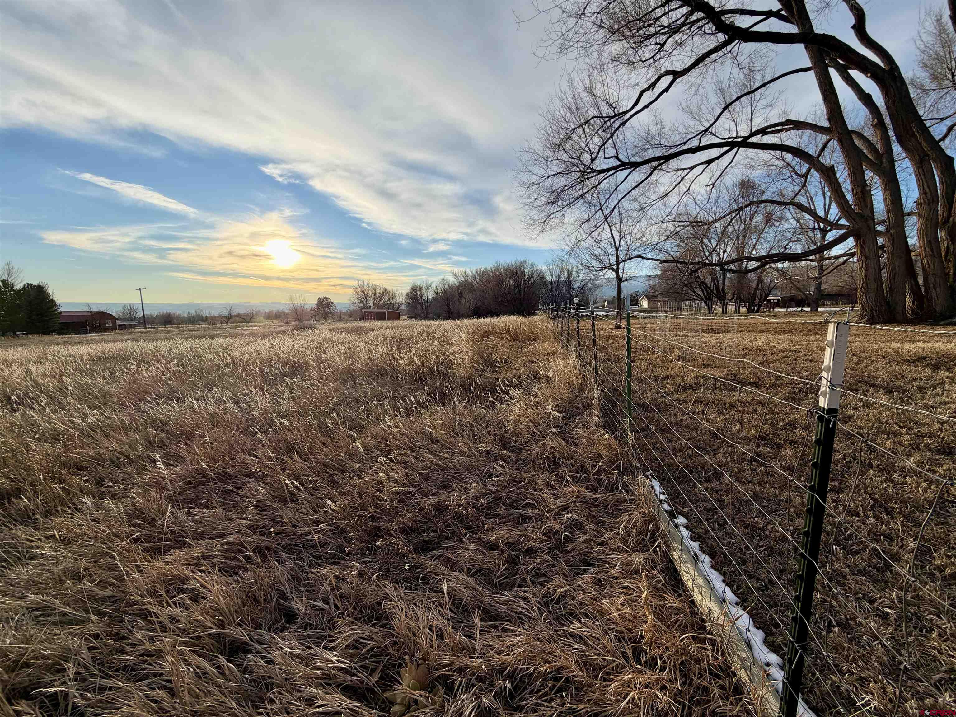 17343 Surface Creek Road Cedaredge, CO 81413 - Photo 29 of 45 a view of a yard with lots of trees