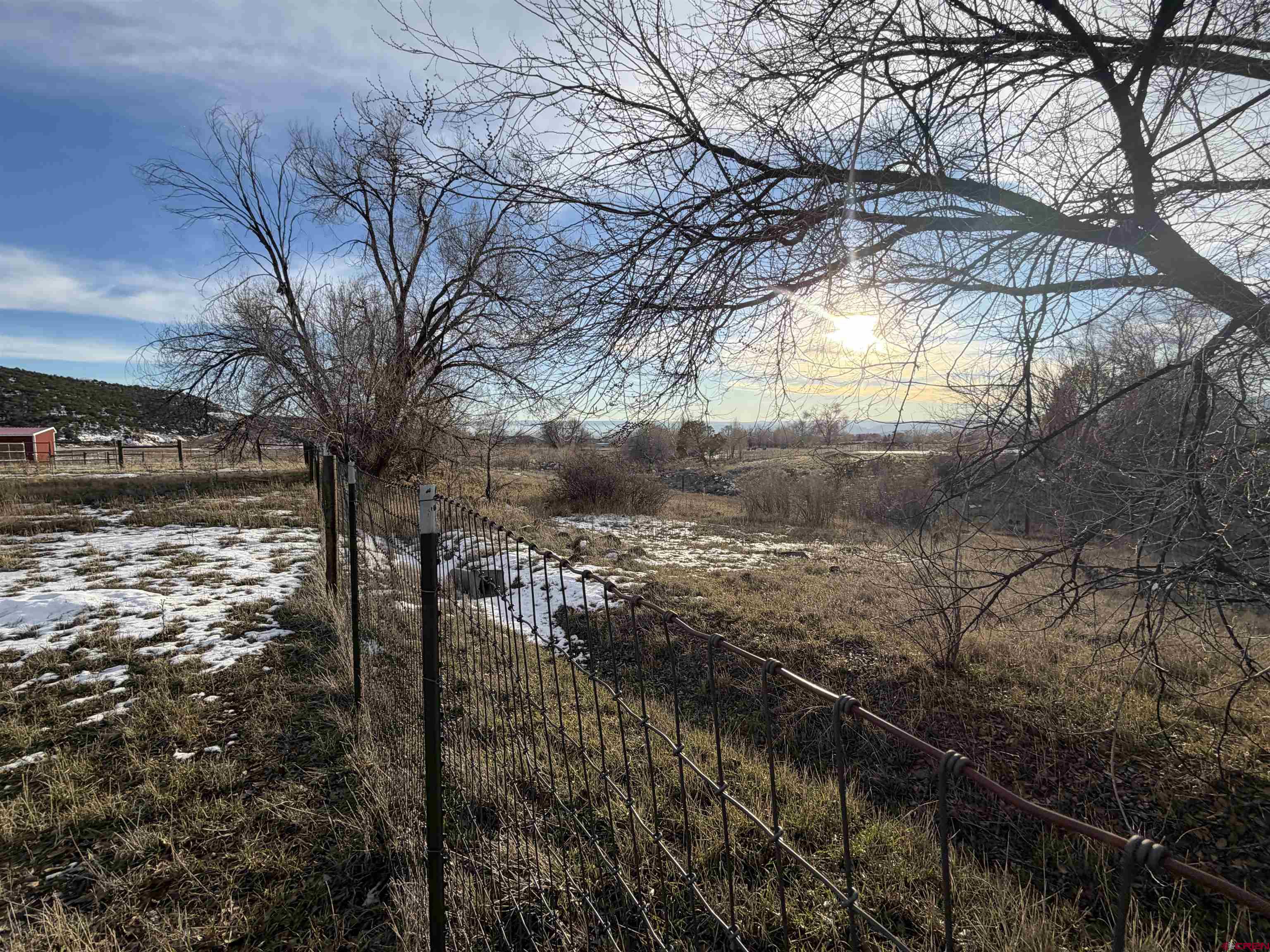 17343 Surface Creek Road Cedaredge, CO 81413 - Photo 33 of 45 a view of a yard with trees