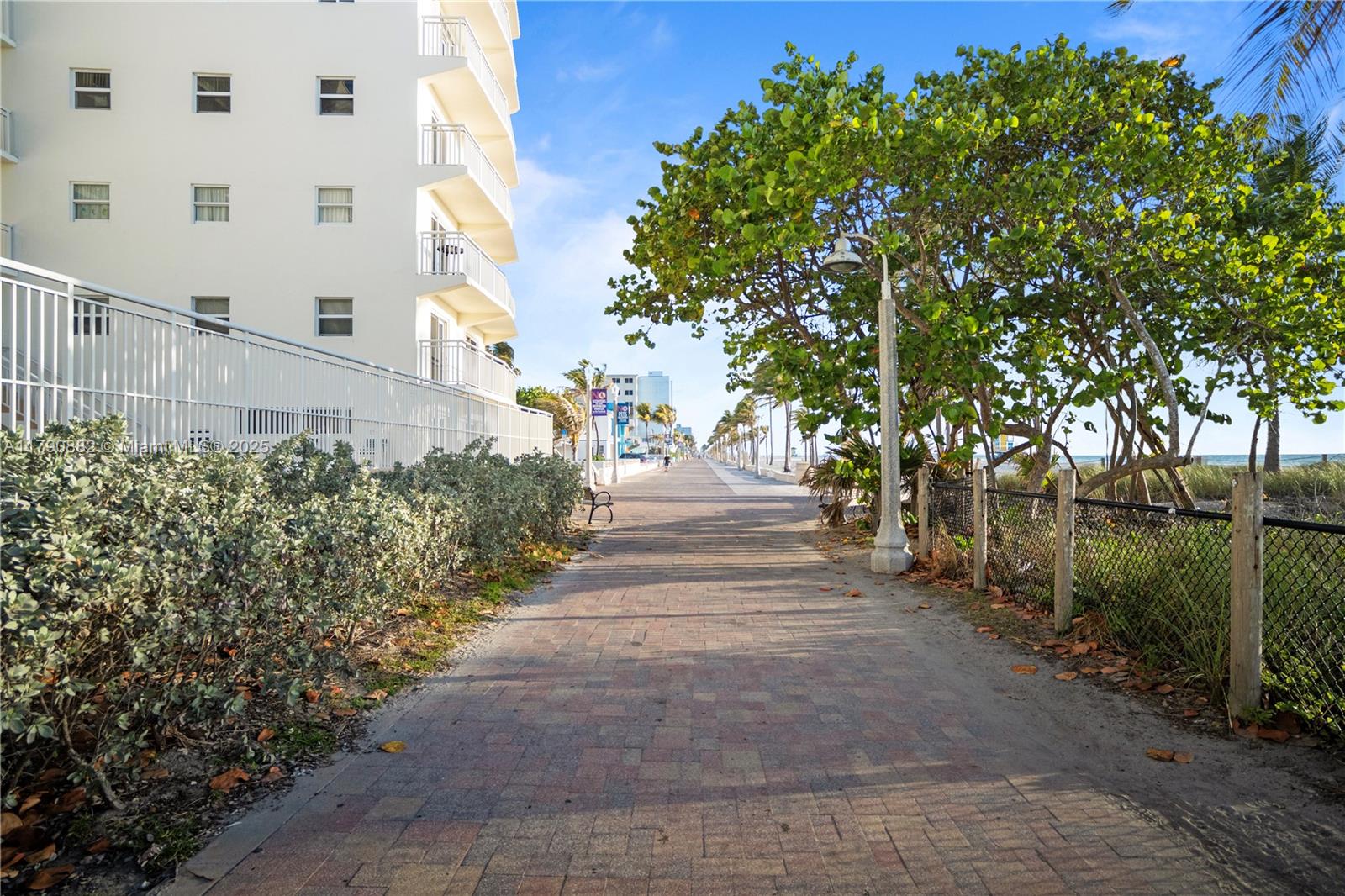901 South Surf Road, Unit 603 Hollywood, FL 33019 - Photo 18 of 26 a road view with tall trees