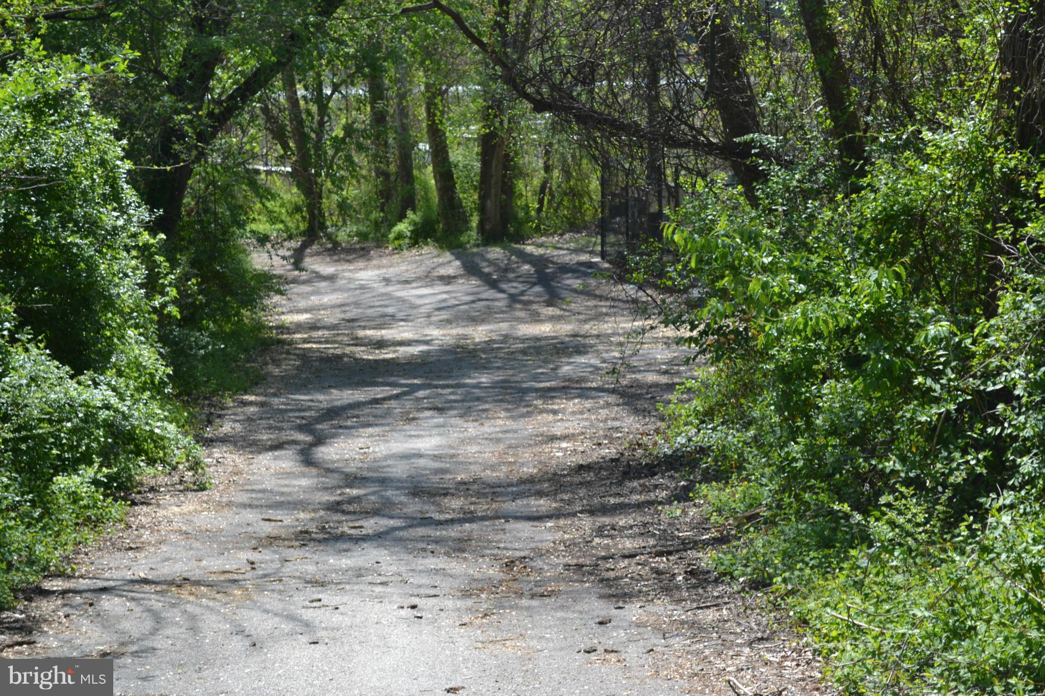 1211 Meadow View Road Pasadena, MD 21122 - Photo 20 of 20 a view of a dirt road with trees in the background