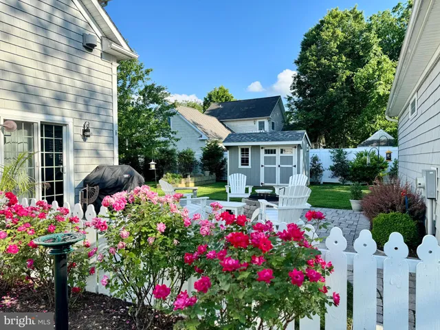 a view of a garden with flowers and flowers