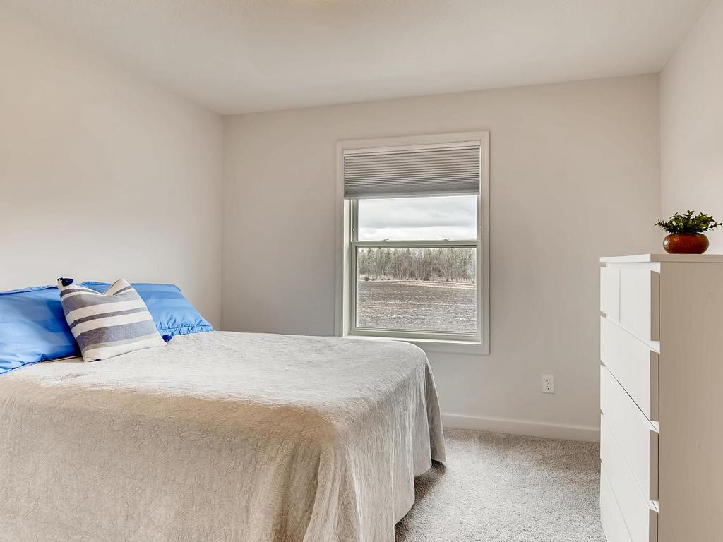 1912 Fulton Road Carver, MN 55315 - Photo 25 of 33