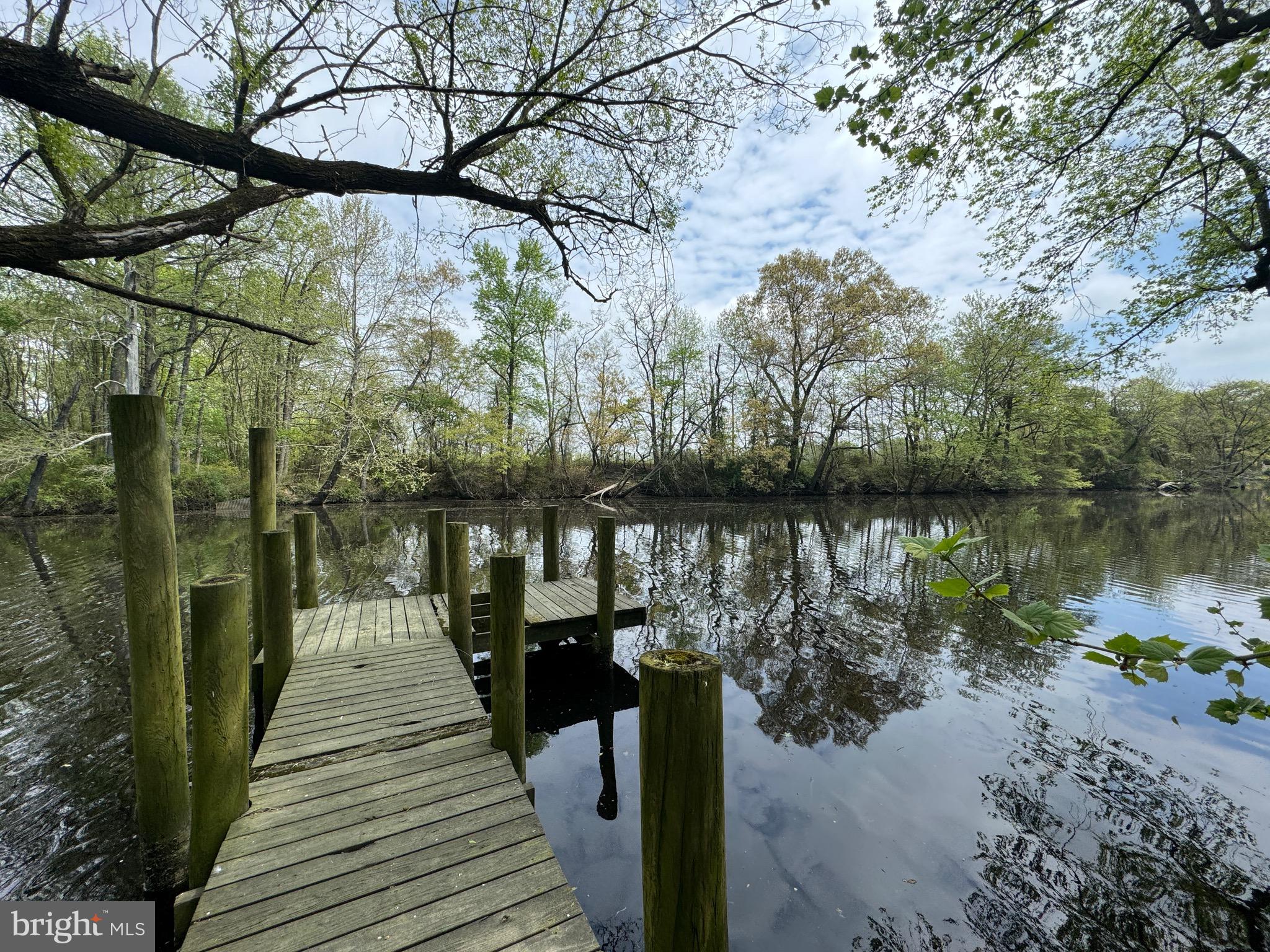 1115 West 6th Street Laurel, DE 19956 - Photo 13 of 34 a lake view with a wooden bridge