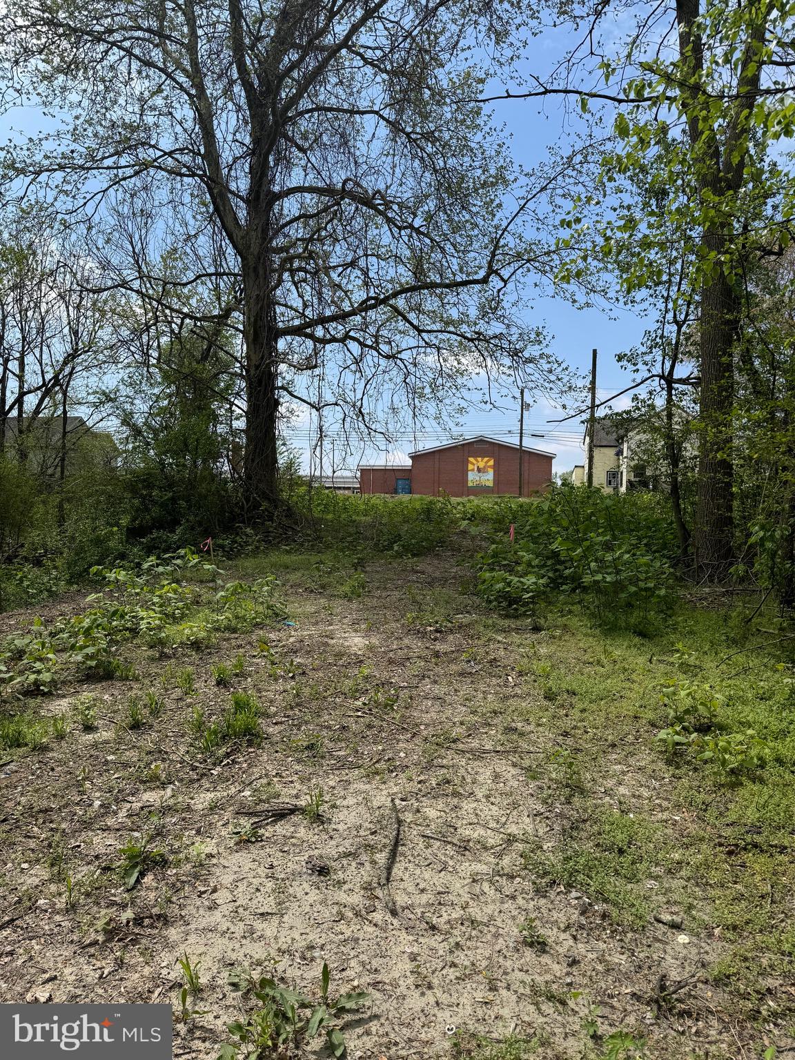 1115 West 6th Street Laurel, DE 19956 - Photo 15 of 34 a backyard of a house with lots of green space