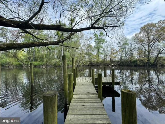 a lake view with large trees and covered with wooden fence and plants