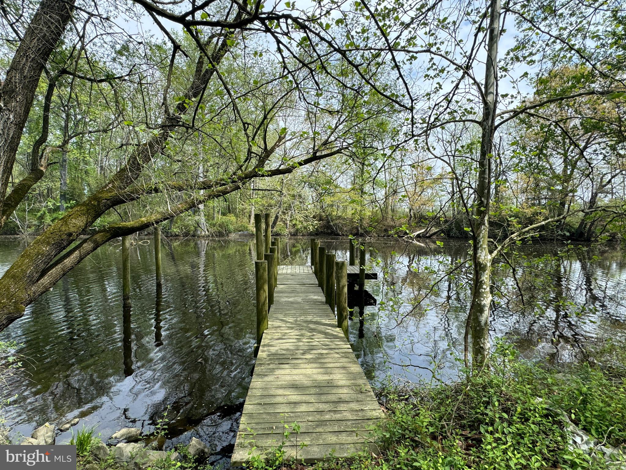 1115 West 6th Street Laurel, DE 19956 - Photo 4 of 34