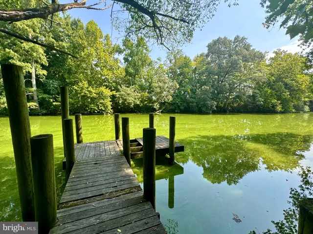 a backyard of a house with lots of green space and lake view