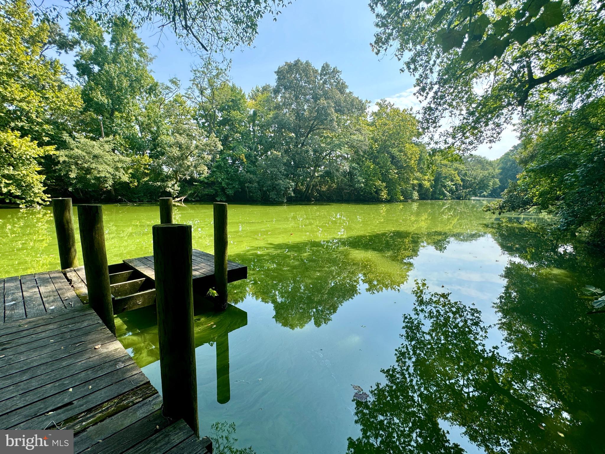 1115 West 6th Street Laurel, DE 19956 - Photo 9 of 34 a view of a lake from a yard