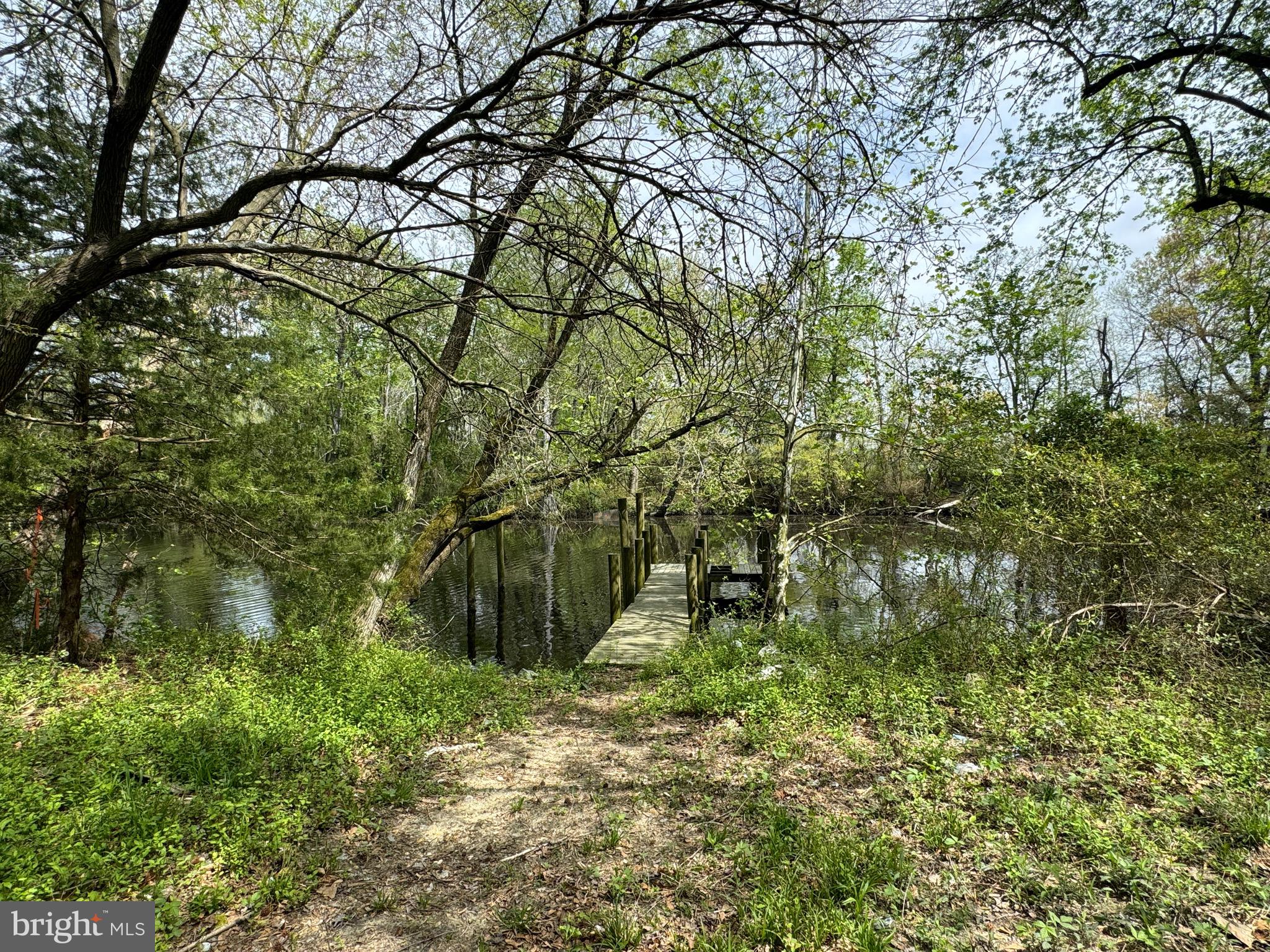 1115 West 6th Street Laurel, DE 19956 - Photo 10 of 34 a backyard of a house with lots of green space and lake view