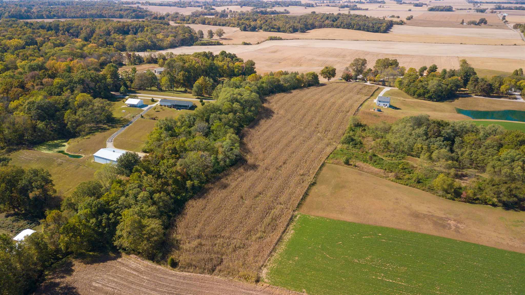 0 Bufkin Springfield Road Mount Vernon, IN 47620 - Photo 4 of 14