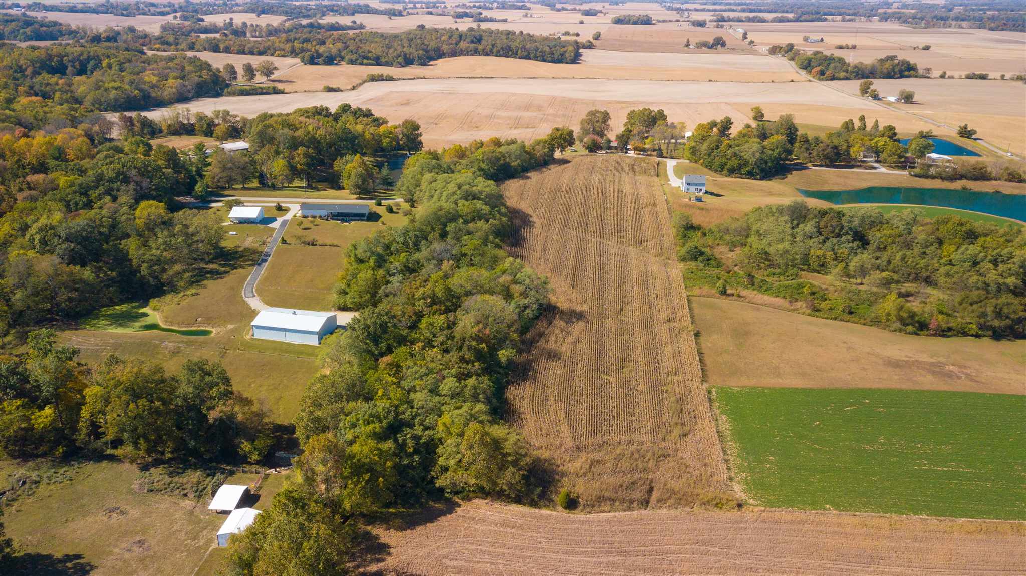 0 Bufkin Springfield Road Mount Vernon, IN 47620 - Photo 5 of 14