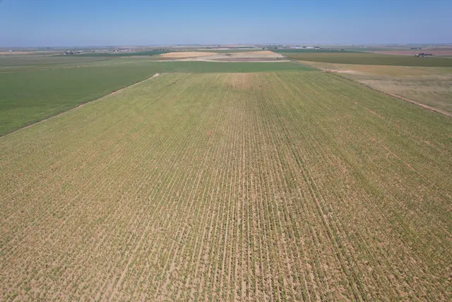 a view of a balcony both side of building