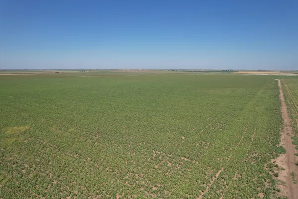 $3,462,000 | 0 County Road 5700, Idalou, TX 79329