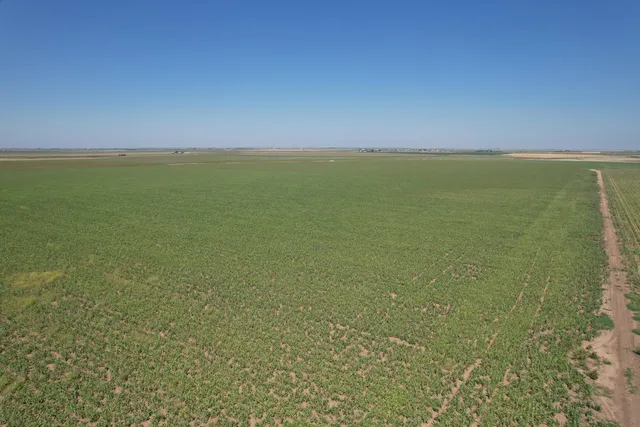 $3,462,000 | 0 County Road 5700, Idalou, TX 79329