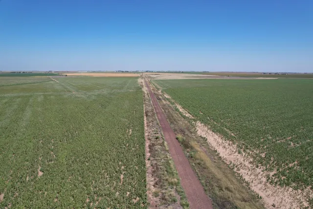 a view of an ocean and beach