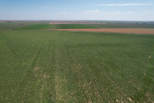 a view of an ocean and beach