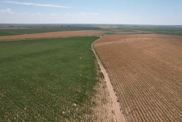 a view of an ocean and beach