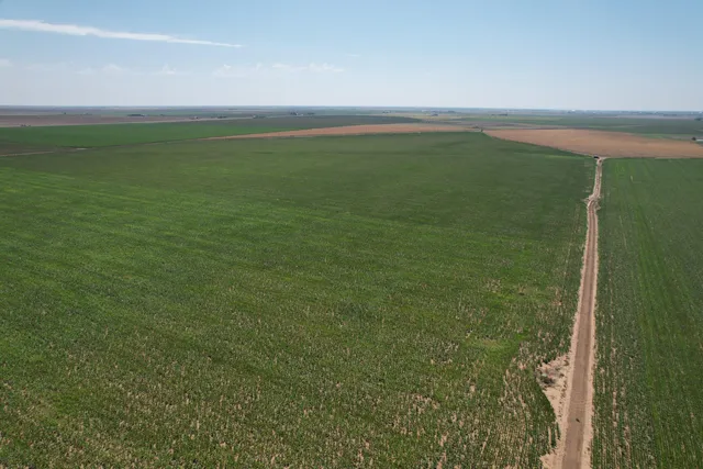 a view of an ocean and beach