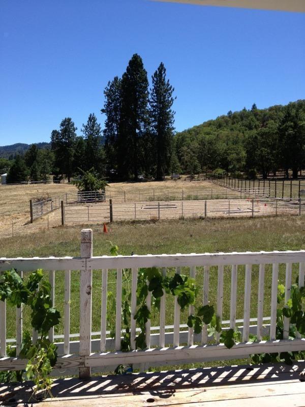 7927 Colonial Way Central Point, OR 97502 - Photo 19 of 28 View off back deck of arena and pastures
