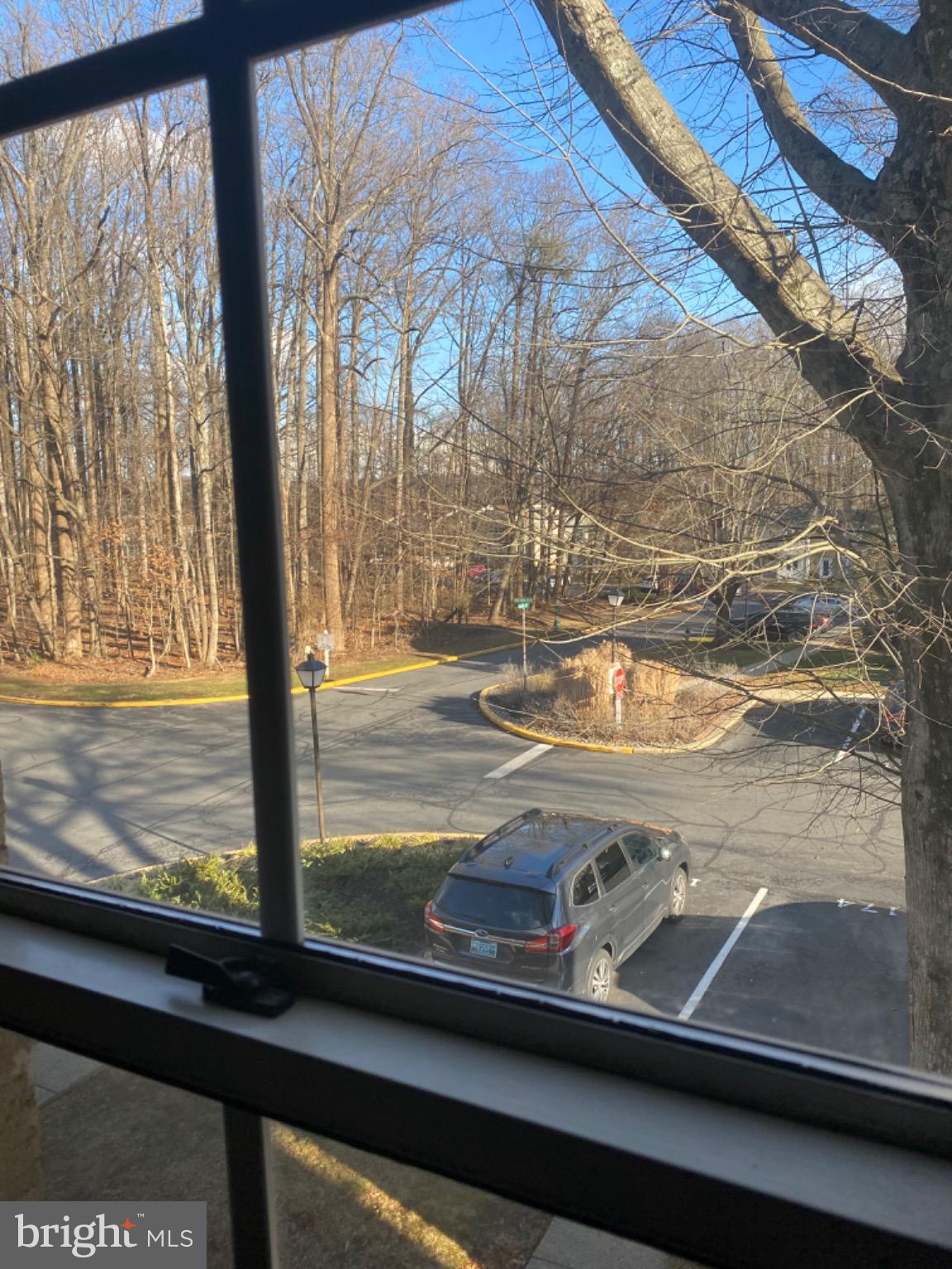 44 Long Green Court Silver Spring, MD 20906 - Photo 4 of 16 Serene view of trees and winding road.