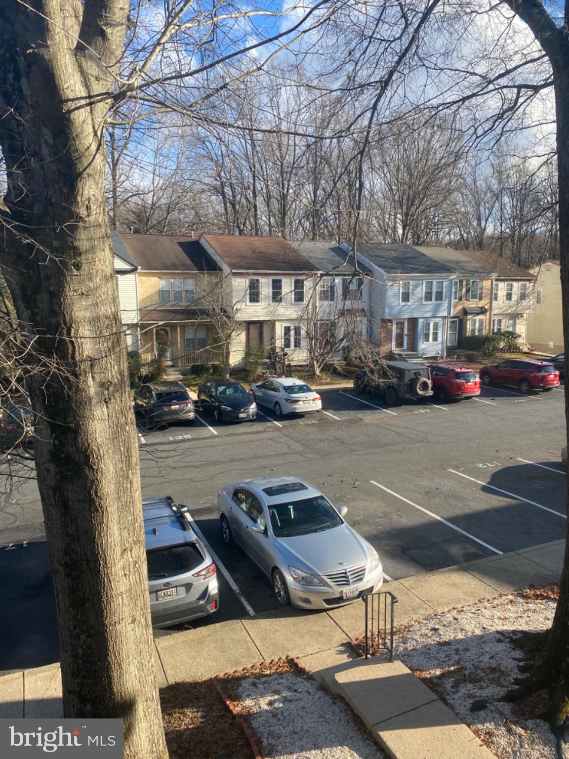 44 Long Green Court Silver Spring, MD 20906 - Photo 5 of 16 Charming neighborhood with tree-lined streets.