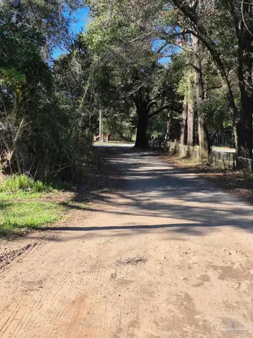 a view of street with large trees