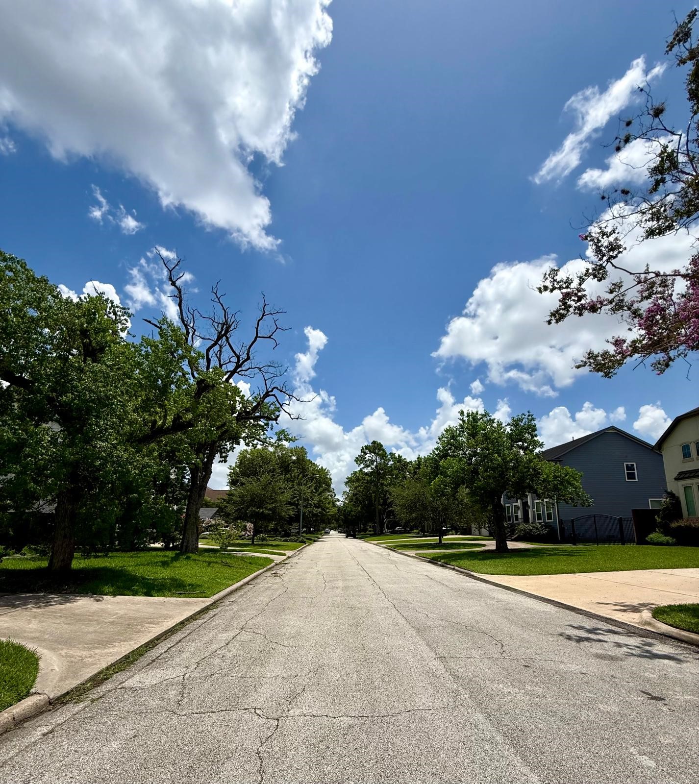 4626 Maple Street Bellaire, TX 77401 - Photo 6 of 8