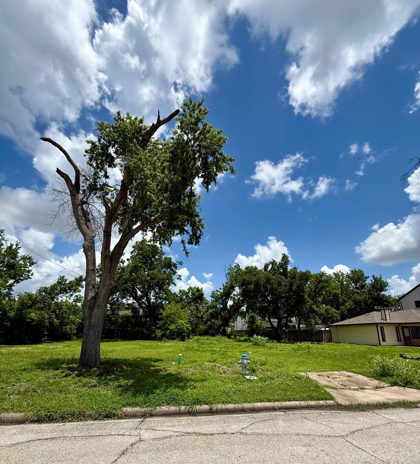 4626 Maple Street Bellaire, TX 77401 - Photo 7 of 8