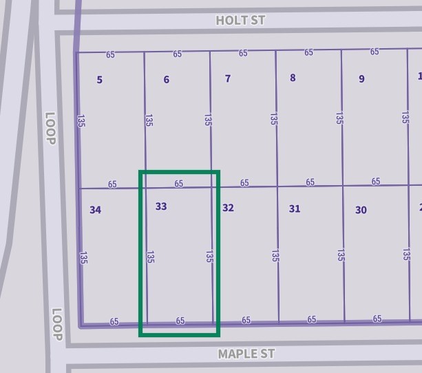 4626 Maple Street Bellaire, TX 77401 - Photo 8 of 8 HCAD information.