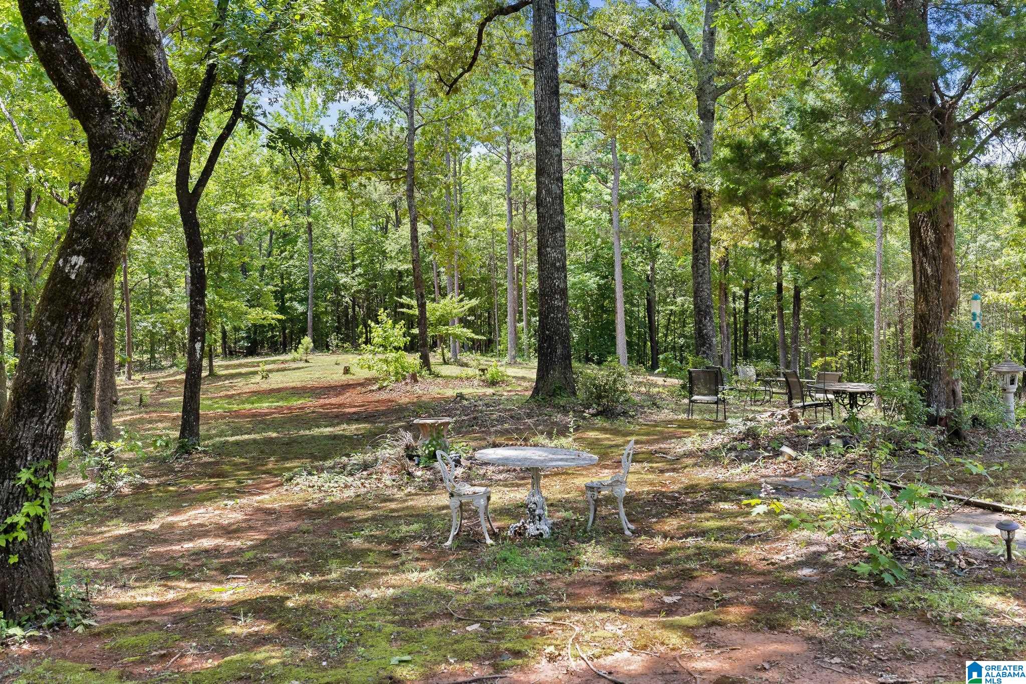 575 Mountain View Lane Springville, AL 35146 - Photo 51 of 84