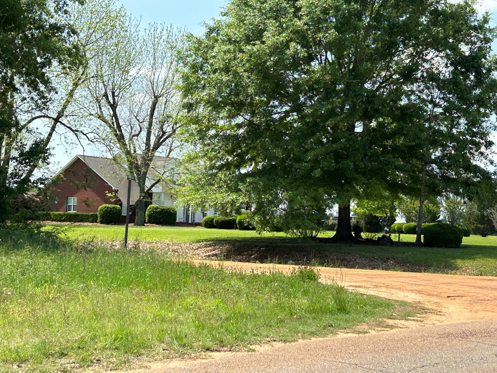 4.04 Cty Road Slocomb, AL 36375 - Photo 11 of 36