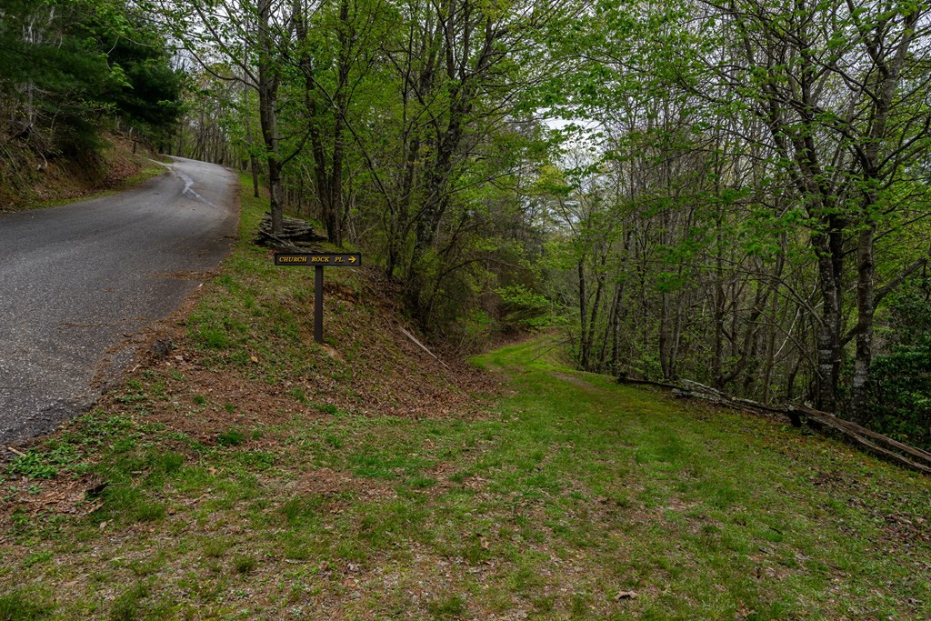 Lot 49 Ravens Ridge Mineral Bluff, GA 30559 - Photo 22 of 23 Gallery Image 22