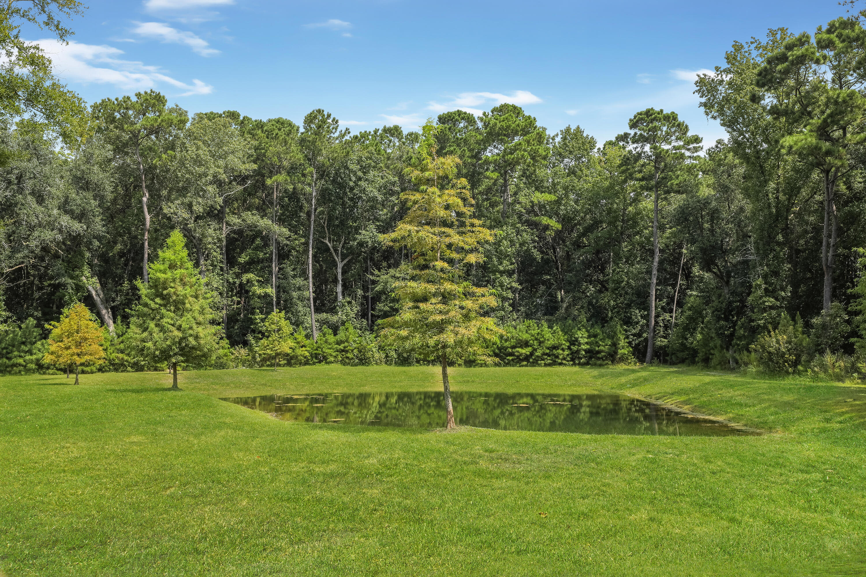 1508 Roustabout Way Charleston, SC 29414 - Photo 36 of 43 1508 Roustabout Peaceful Pond View