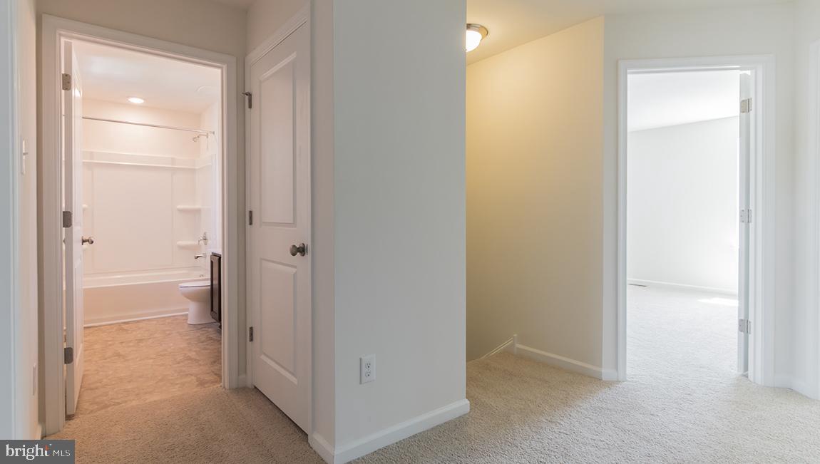 5 Half-Hitch Road Barnegat, NJ 08005 - Photo 10 of 22