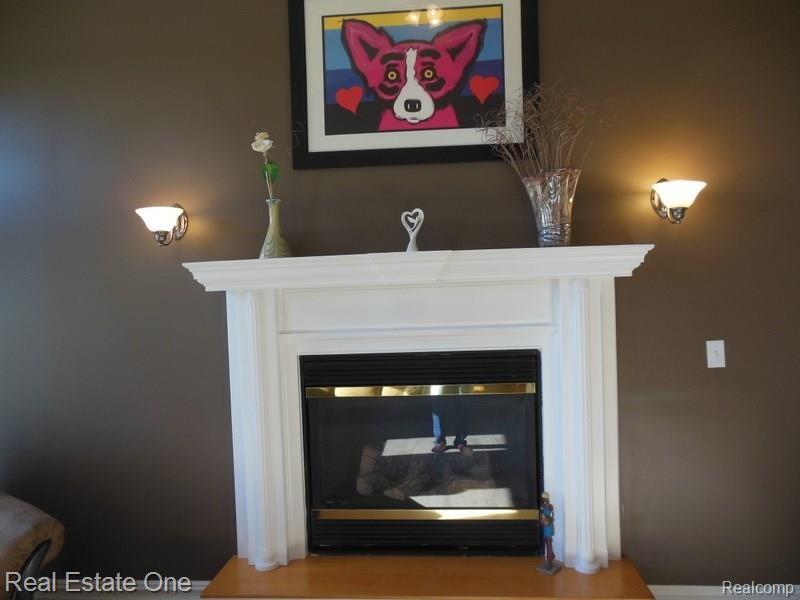 3225 Outback Trail Pinckney, MI 48169 - Photo 17 of 76 NATURAL GAS FIREPLACE