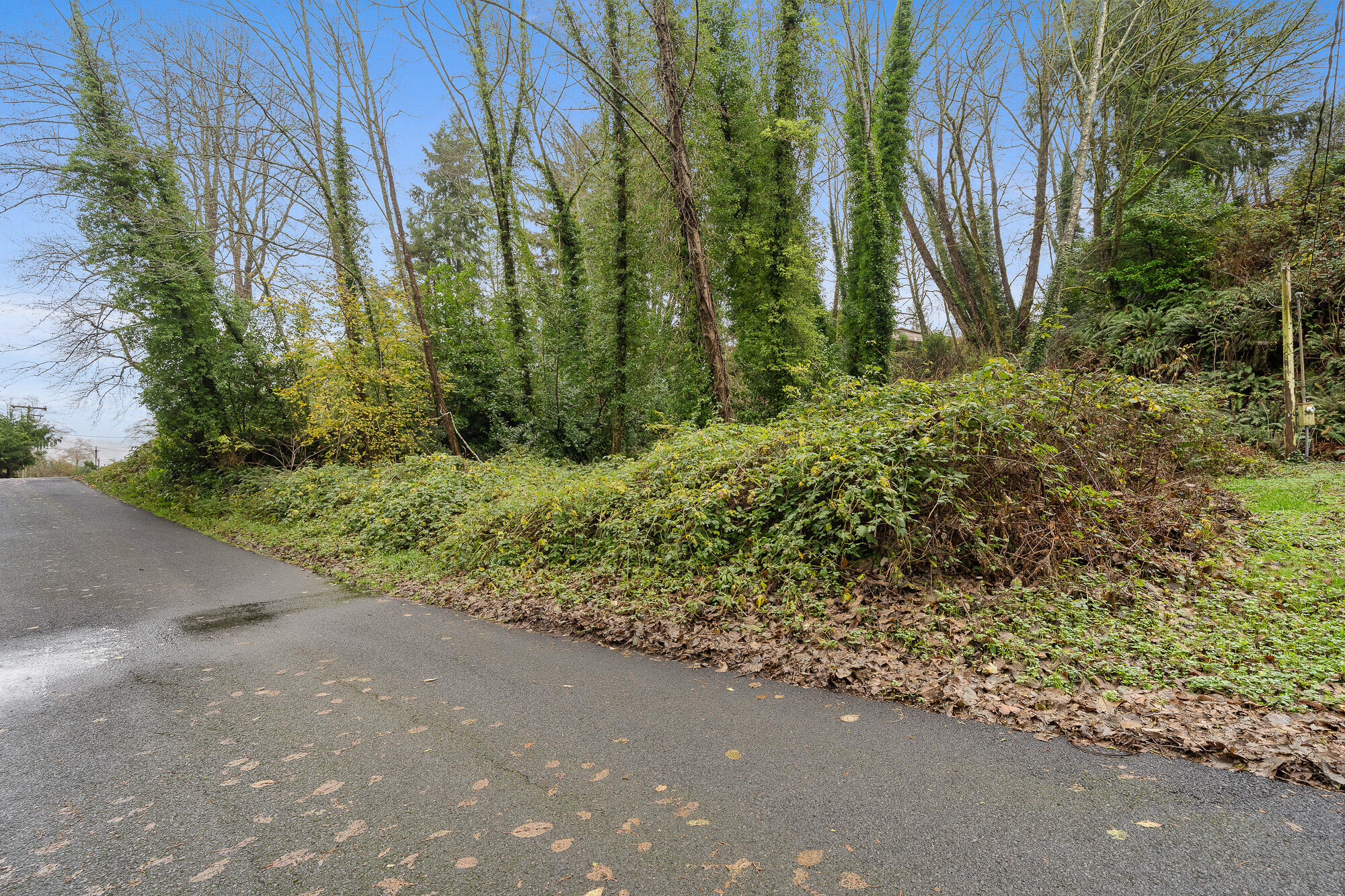 10602 I Street Nehalem, OR 97131 - Photo 4 of 14 DSC09137
