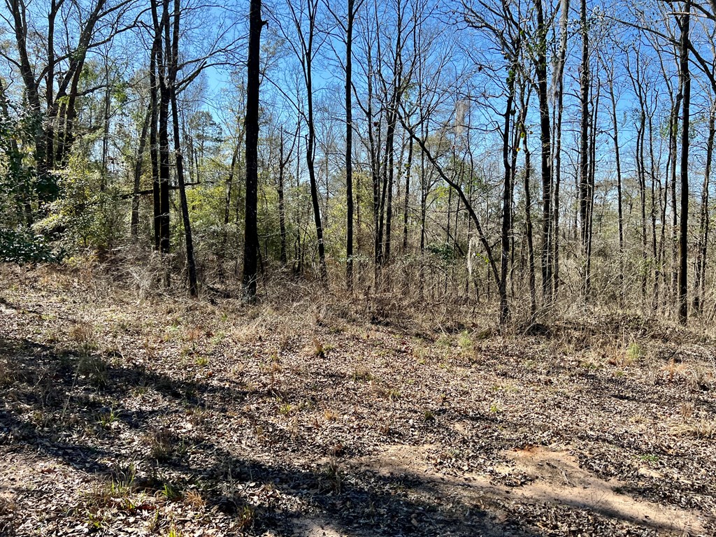 0 County Road 97 Abbeville, AL 36310 - Photo 45 of 53