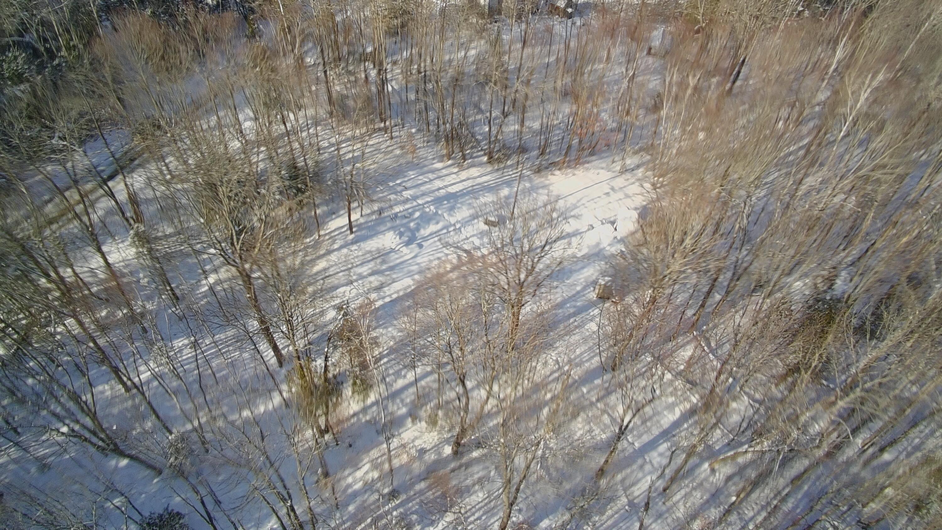 36 Ladd Road Sebec, ME 04481 - Photo 15 of 26 4298633_100DRONE_SING0449