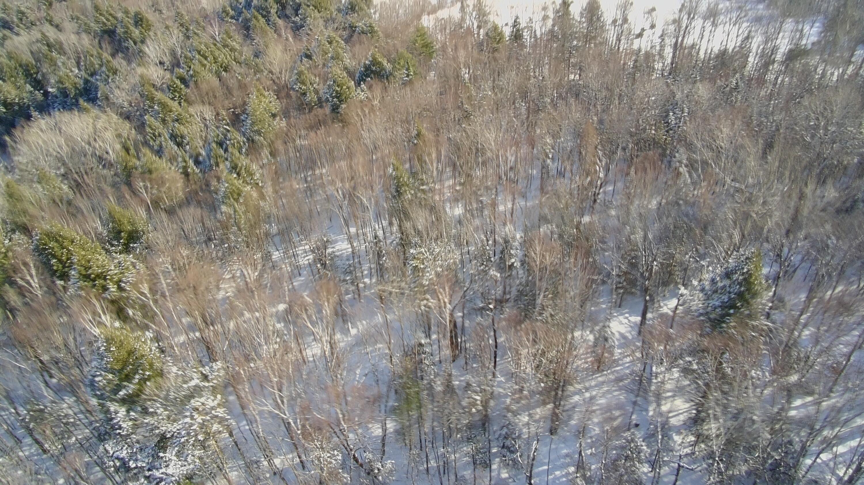 36 Ladd Road Sebec, ME 04481 - Photo 18 of 26 4352901_100DRONE_SING0439 2