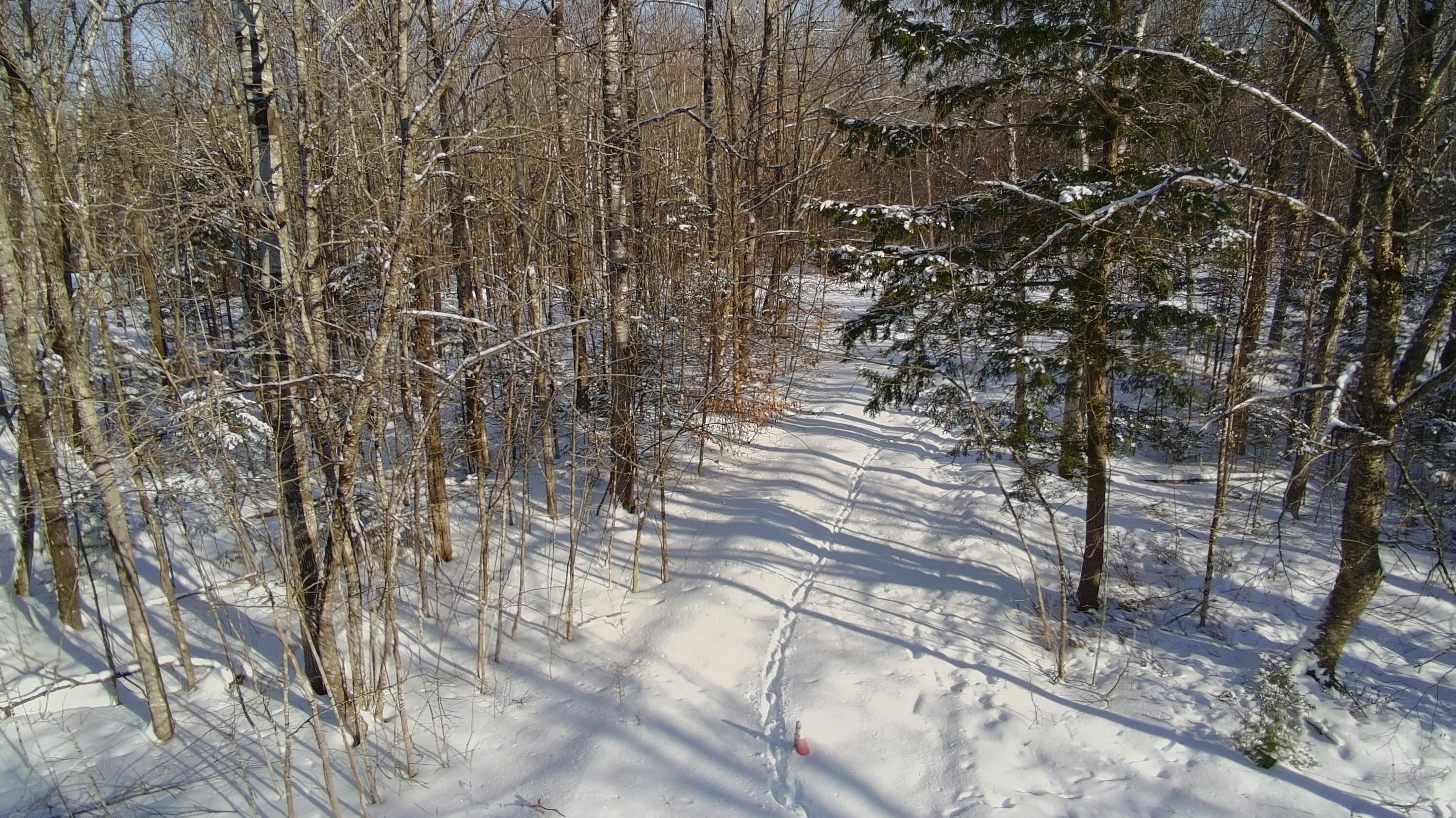 36 Ladd Road Sebec, ME 04481 - Photo 20 of 26 4898366_100DRONE_SING0430