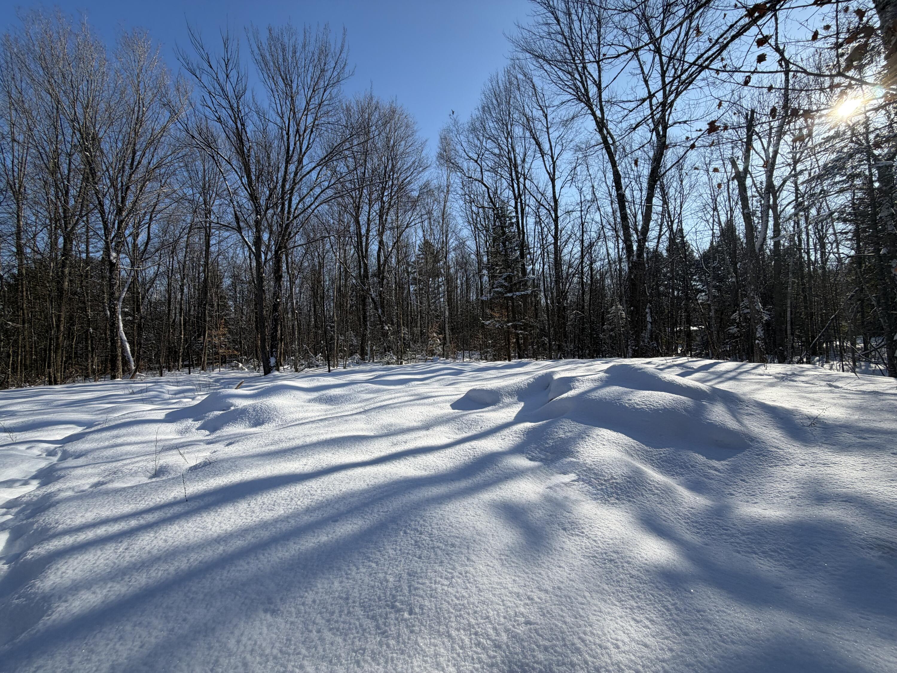 36 Ladd Road Sebec, ME 04481 - Photo 2 of 26 IMG_0311