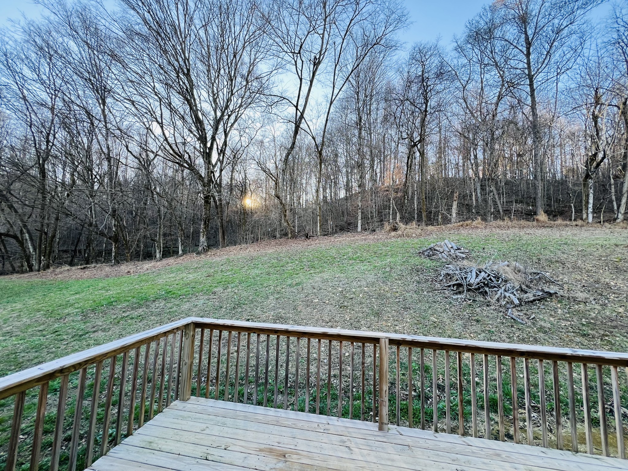 750 Bunker Hill Road Pulaski, TN 38478 - Photo 8 of 36 a view of backyard with green space
