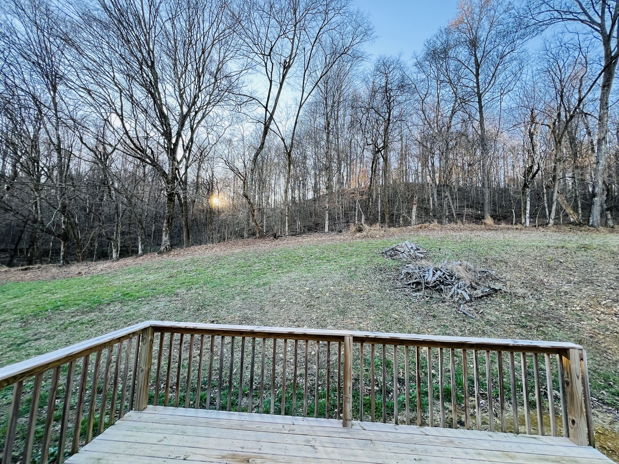 750 Bunker Hill Road Pulaski, TN 38478 - Photo 9 of 36 a view of backyard with green space