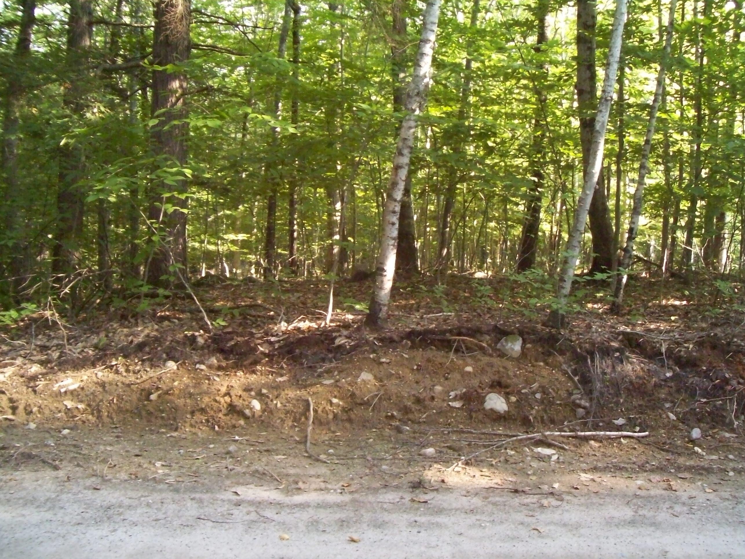 67 Paddock Lane Frye Island, ME 04084 - Photo 3 of 15 Lot 904