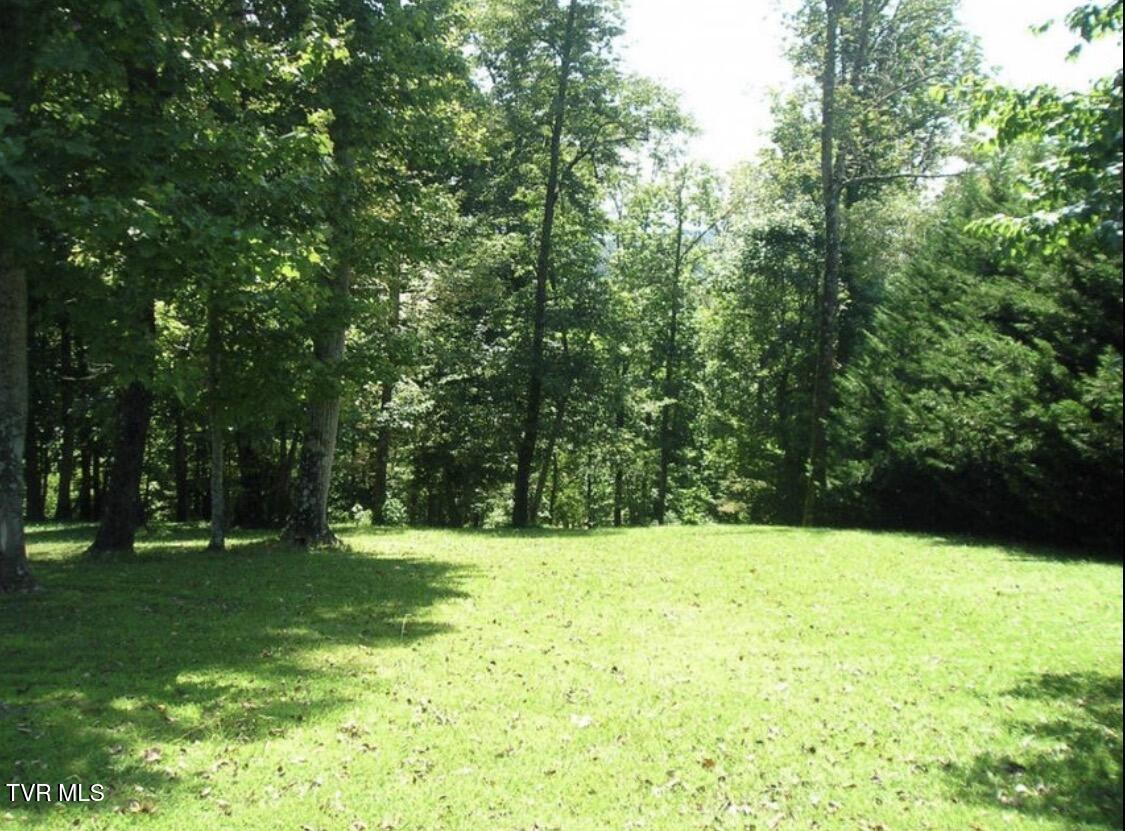 152 Allison Timbers Road, Unit 6 Piney Flats, TN 37686 - Photo 45 of 56 IMG_5367