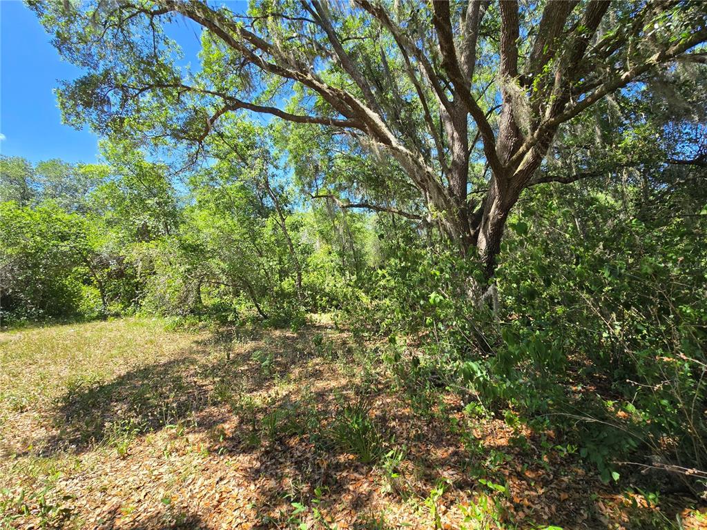 27137 Miller Road Dade City, FL 33525 - Photo 26 of 29 Gallery Image 26