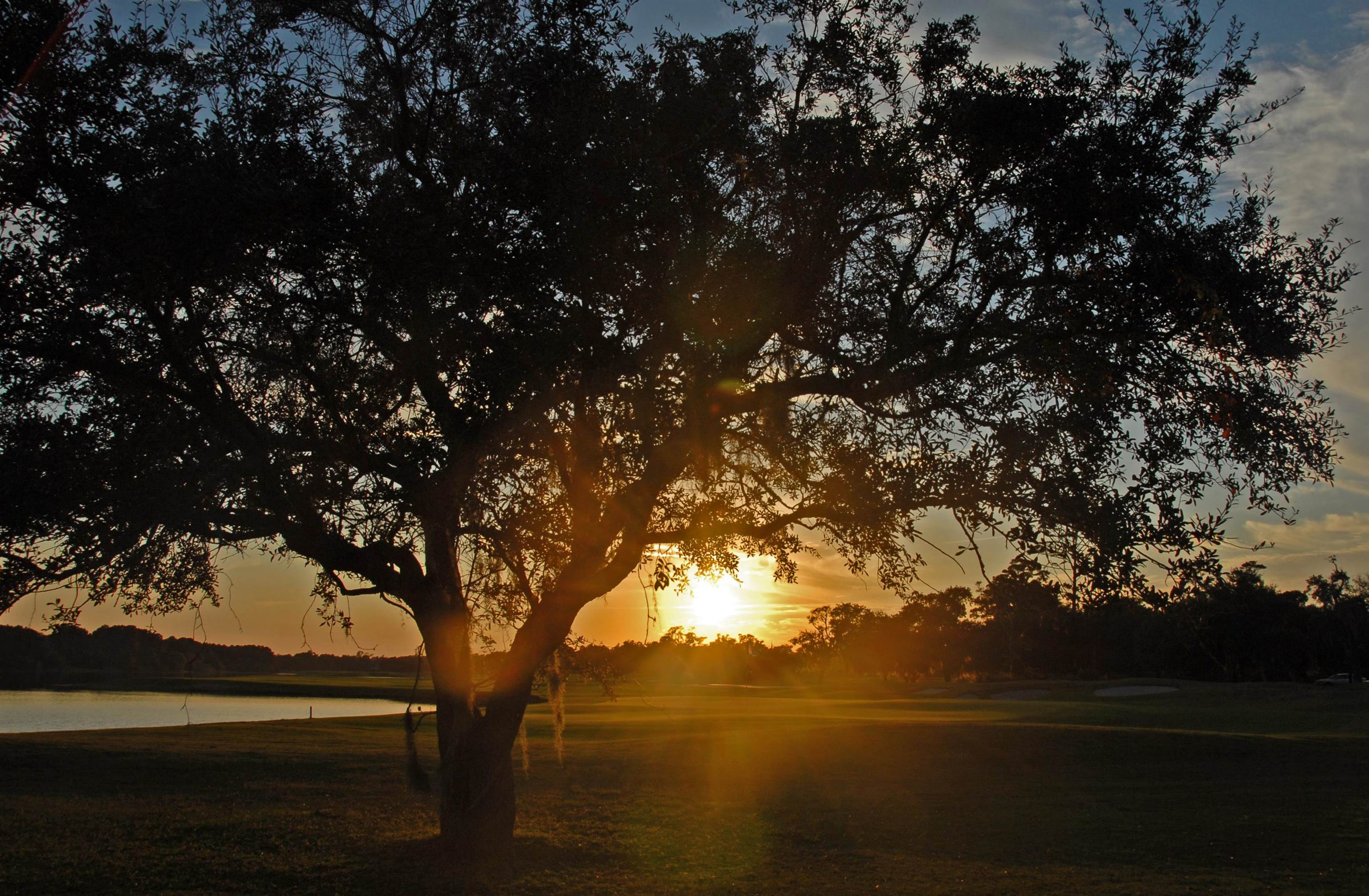 292 Colony Club Drive Georgetown, SC 29440 - Photo 31 of 34