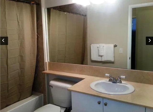 a view of a yard with palm tree