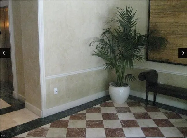 a view of a living room with a potted plant and a rug