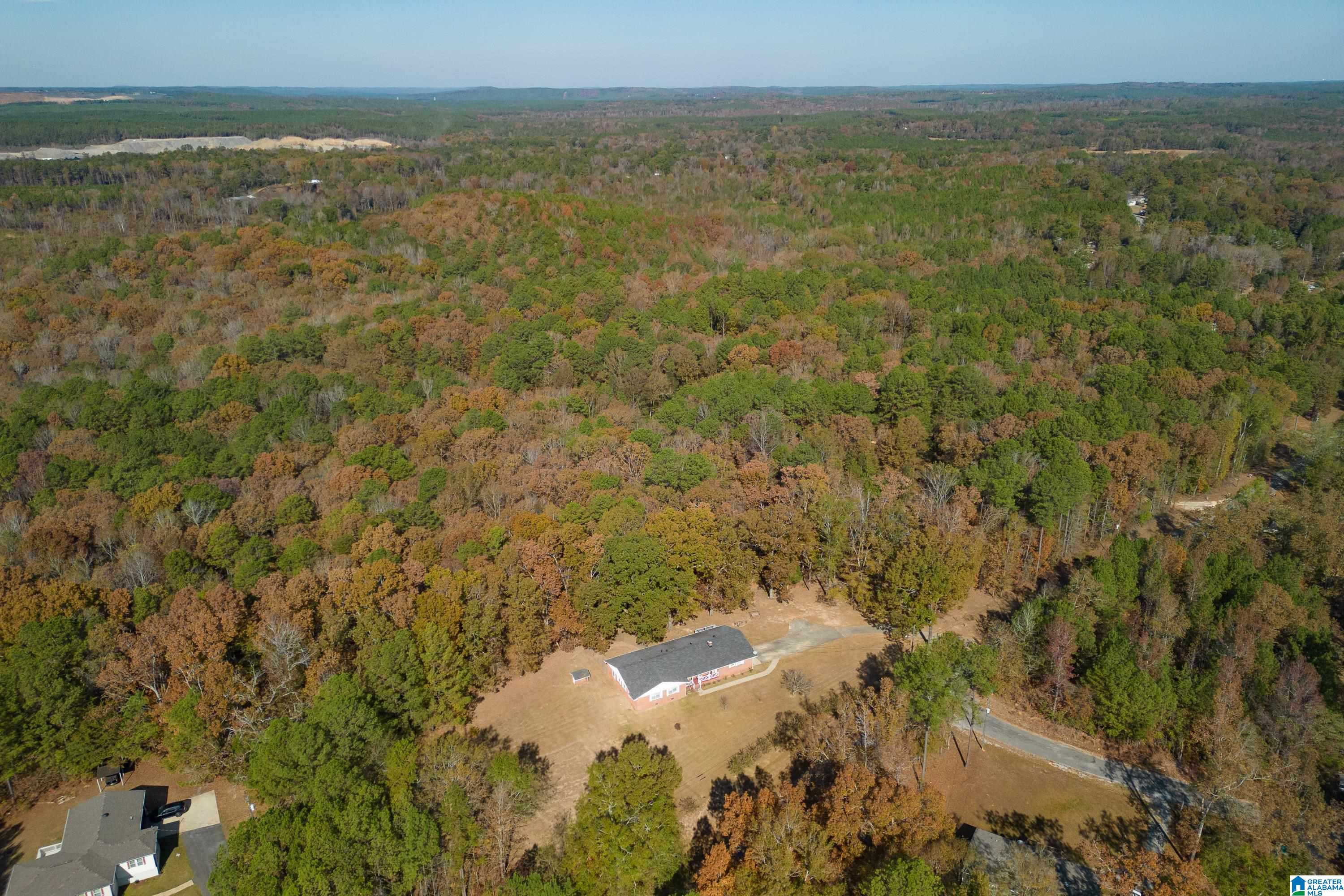 13026 Hobby Horse Road Vance, AL 35490 - Photo 40 of 48